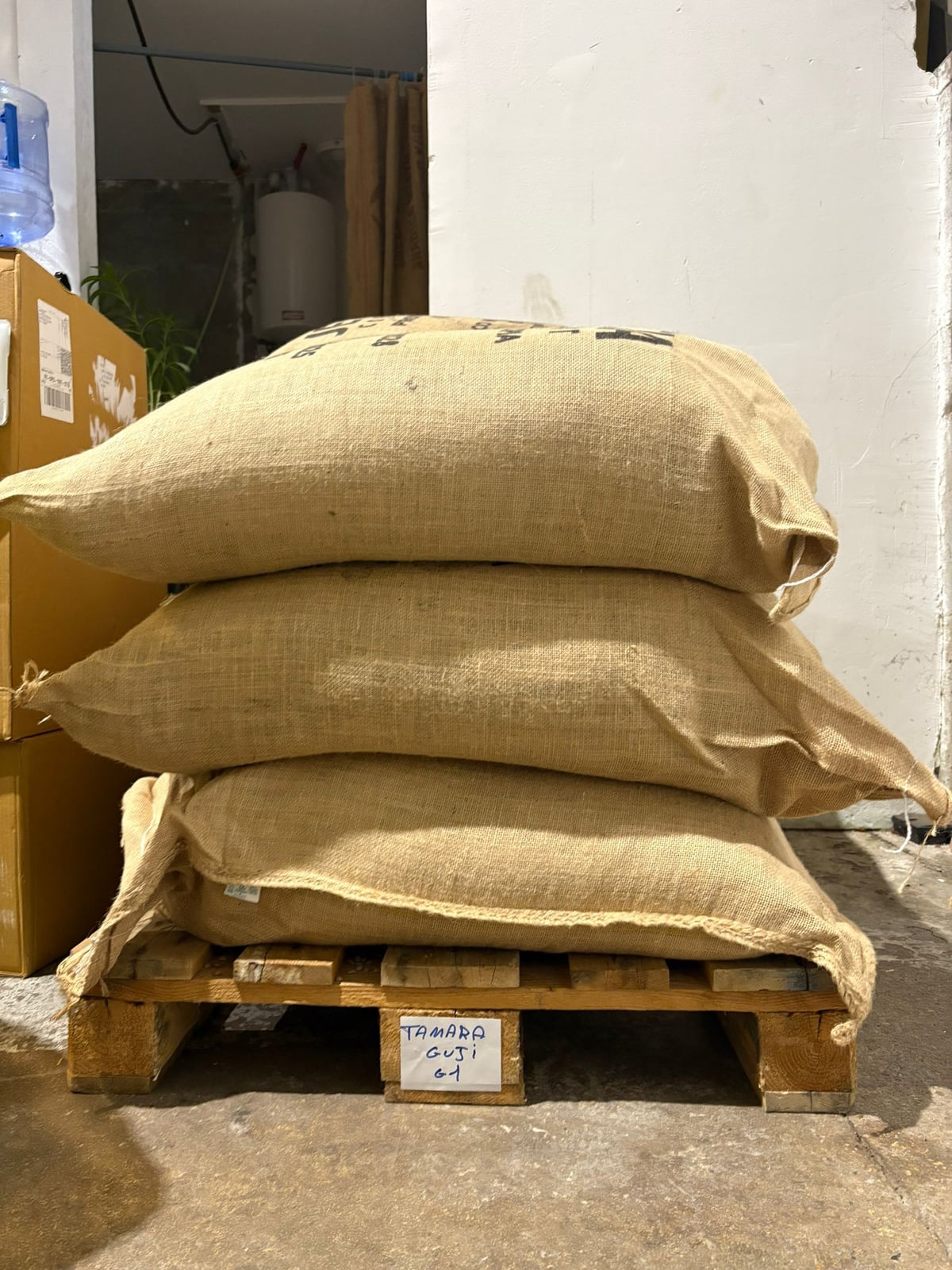 Du Grain à la Tasse : Le voyage de nos sacs de Guji jusqu'à Paris